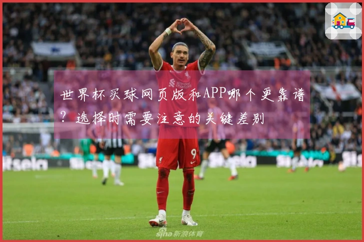 世界杯买球网页版和APP哪个更靠谱？选择时需要注意的关键差别