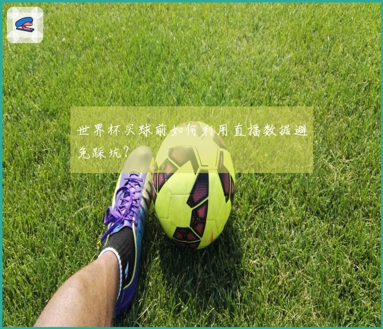 世界杯买球前如何利用直播数据避免踩坑？